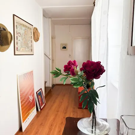 Villa House With Soul, Plimica 80 Vodice